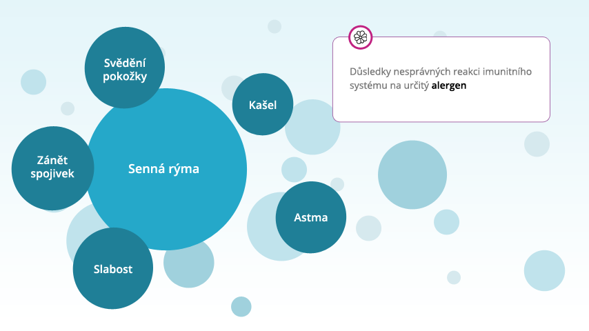 Reakce organismu na alergeny – infografika