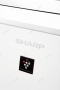 Sharp KI-G75EUW zoom na logo